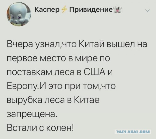 Составы Сибирского леса движутся в Китай