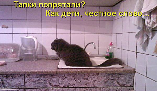 "Я переспала с его дядей". 6 диких способов мести от тех, кому изменили