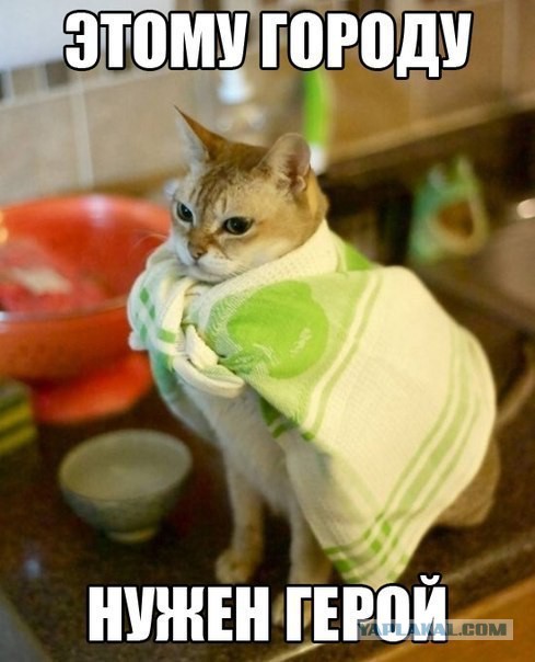 Разные по свежести картинки. Опять