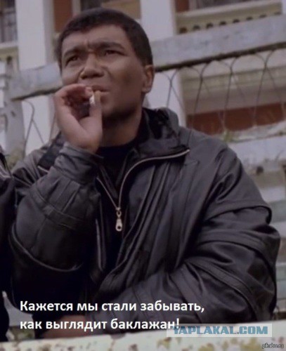 Управделами президента закупило сигареты на 19 млн руб