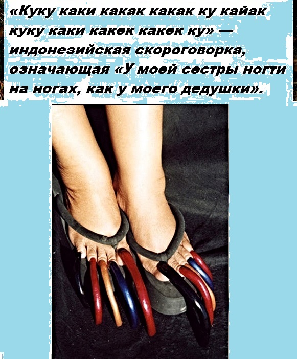Факты на разные темы