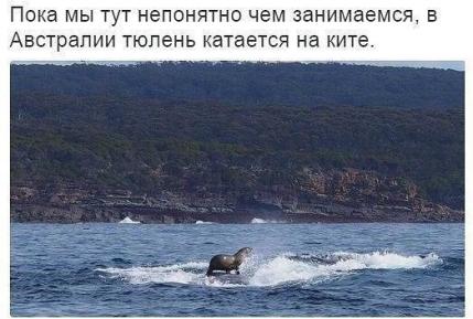 Бредзона