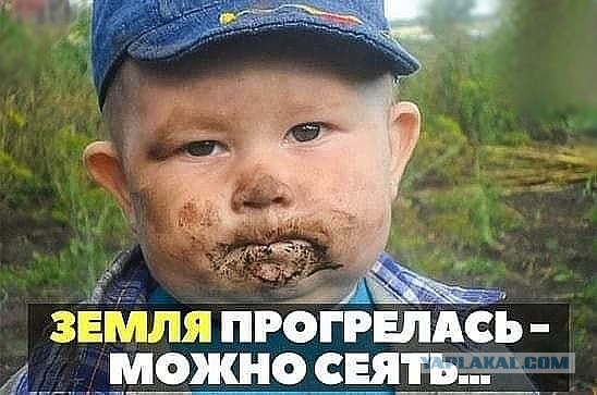Начальник полицейских, задержавших Ивана Голунова, владеет землей в Подмосковье на десятки миллионов рублей