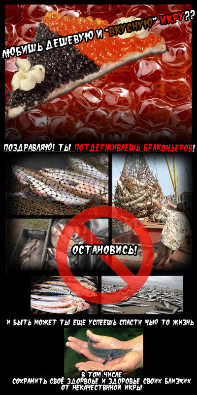Конкурс на лучшую фотожабу против браконьеров.