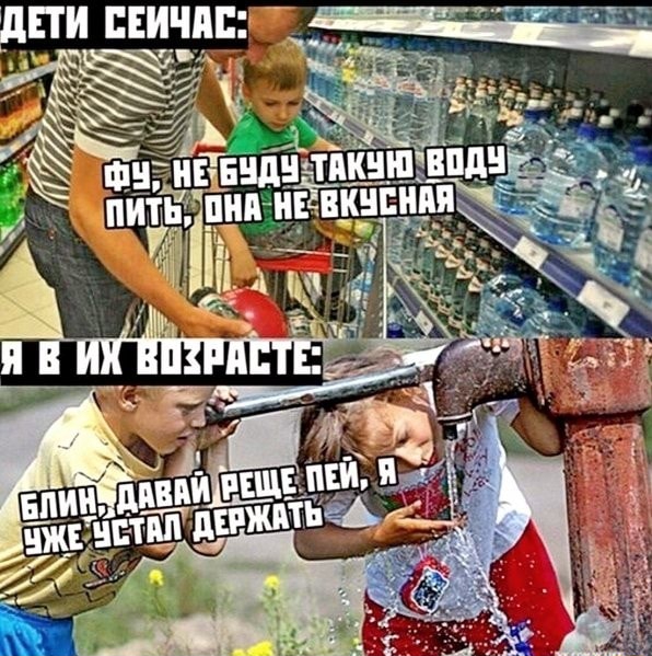 Применим физику в постели или белка и стрелка. Картинки