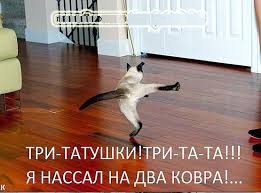 Paзнoвиднocти тьмы