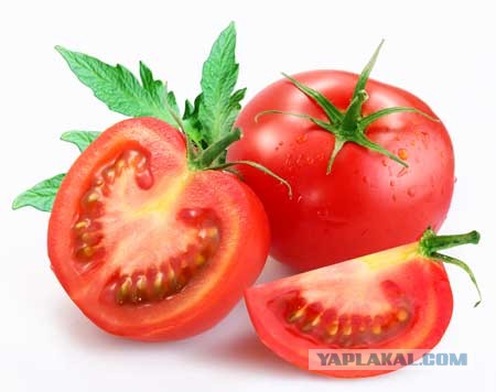 Про вкусовые рецепторы и продукты из СССР