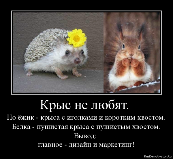 Картинки из рабочего чата 25.04