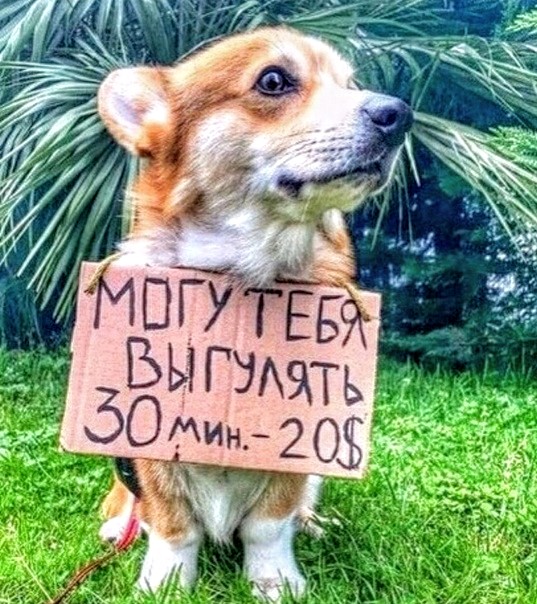 Немного картинок для настроения 02.05.20
