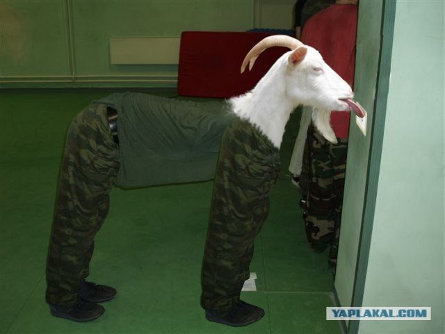 Зарядка