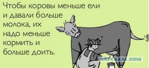 Россиянин сравнил реальные цены на отдых в Сочи и Турции и поделился результатом