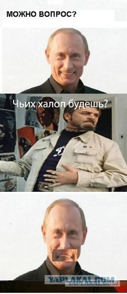 Шевчук и Путин (5 комиксов)