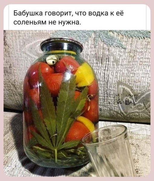Прикольные и просто красивые картинки 12.11.2020