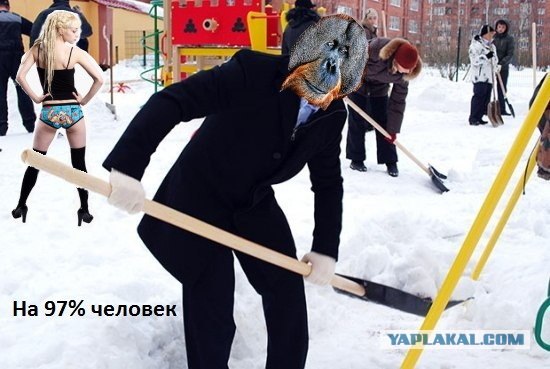 Показуха питерского чиновника