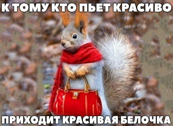 Картинки обо всëм. 07.01.20