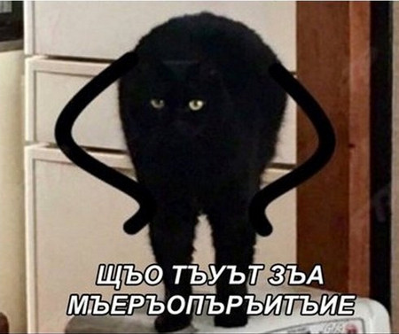 Удобная женщина для харизматичного мужчины