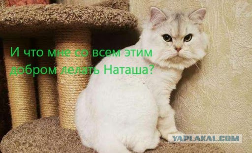 Картинки разные и всякие