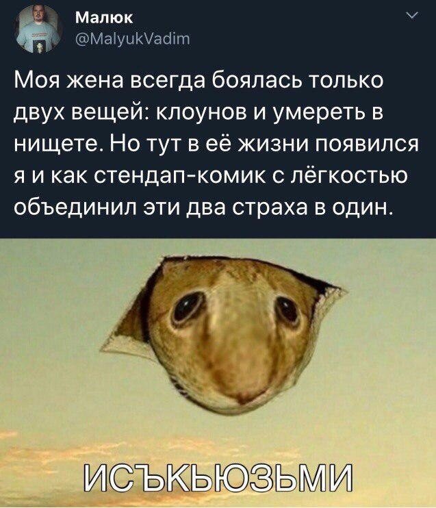 Картинки и мемы для настроения 016