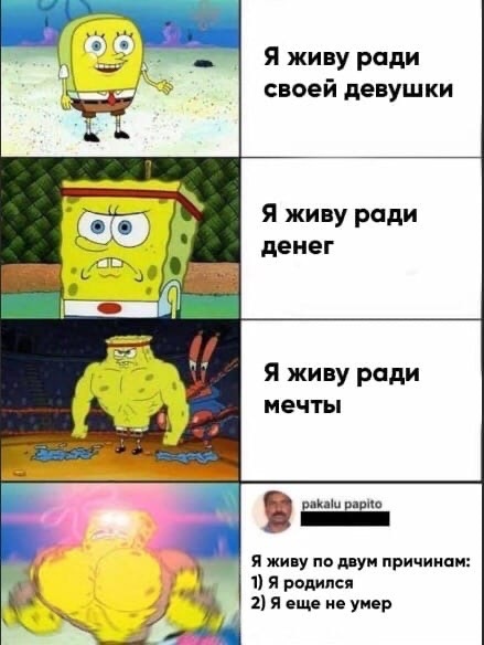 Весёлый полтишок 22.03