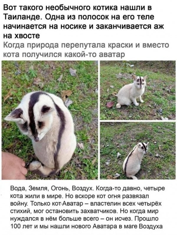 Картинки и мемы для настроения