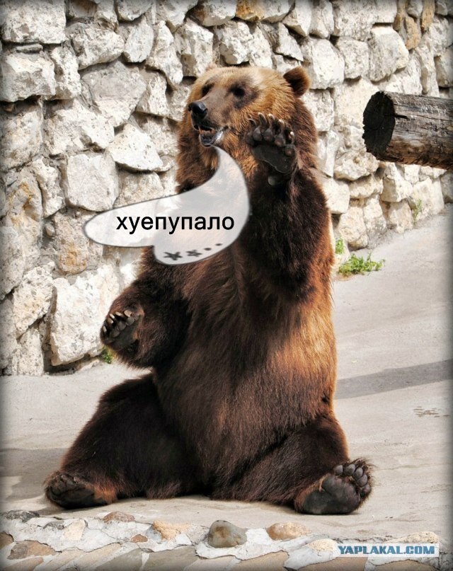 "Ломайменя" в Обниниске. Задержание дебошира