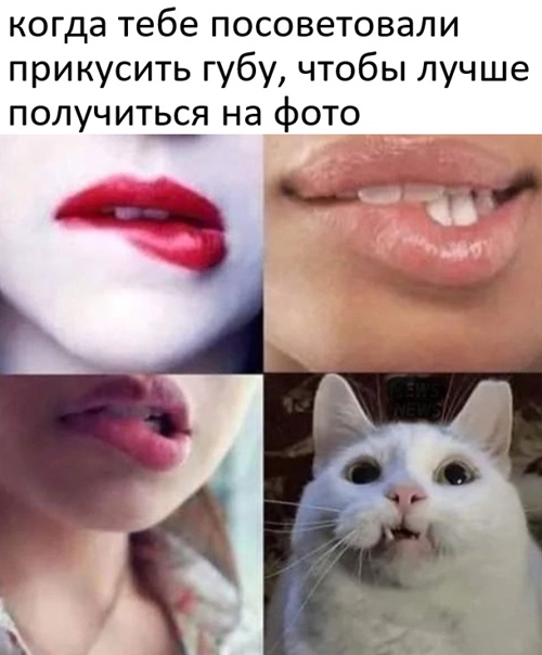 Весёлый полтишок 22.10