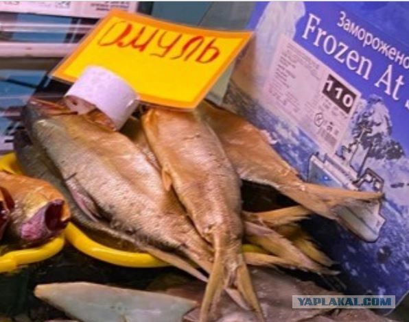 Рыба Северная, наше всё