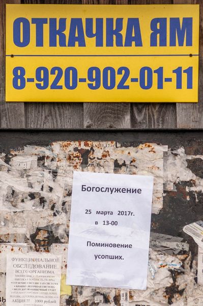 Норвежский король