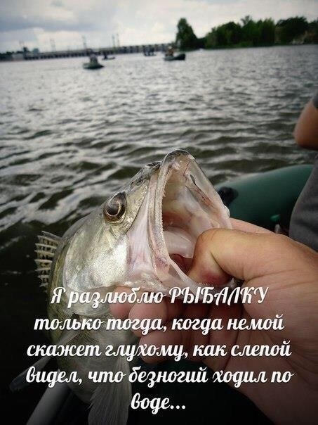 Всё к черту! Рыбалка, Цой и Розенбаум