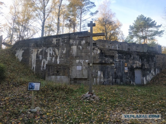 ЯП кругосветка. Этот проект завершился!