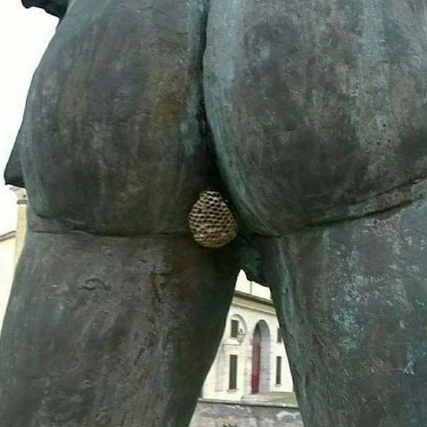 Осиное гнездо