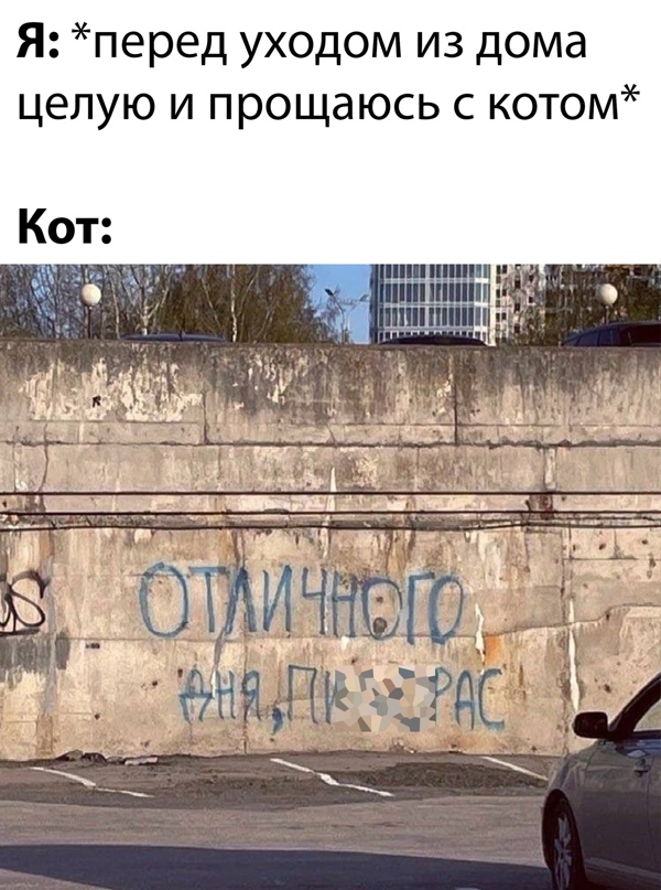 Картинки и мемы для настроения - 15