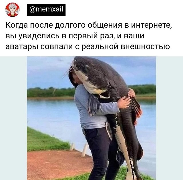 Скриншоты и комментарии из социальных сетей 17.07.22