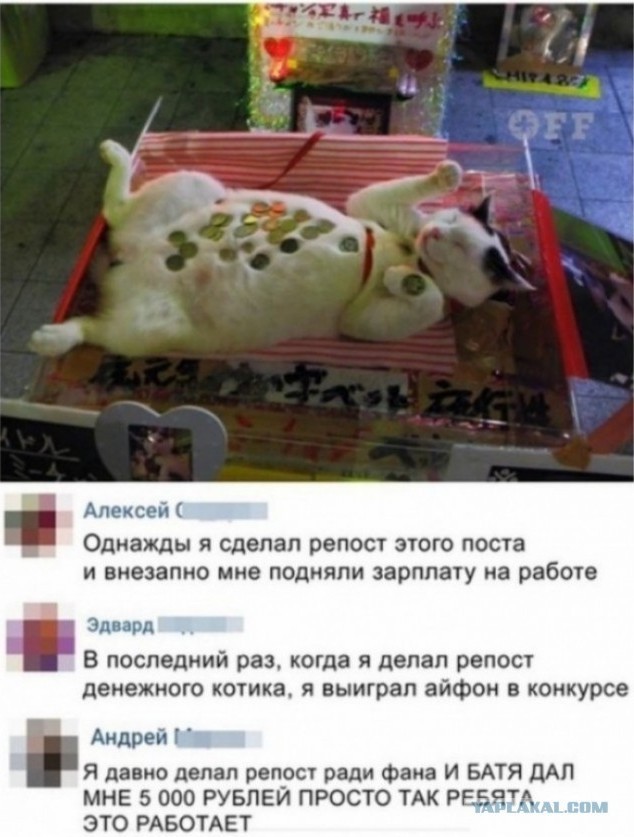 Скриншоты и комментарии из социальных сетей 10.12.22