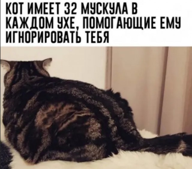 Картинки и мемы, всем хороших выходных