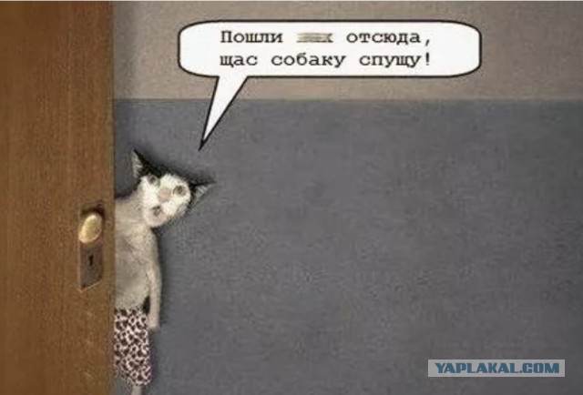 Тёща вызвала ментов
