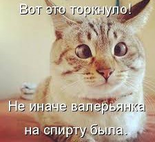 Я вот ни хуа не понял