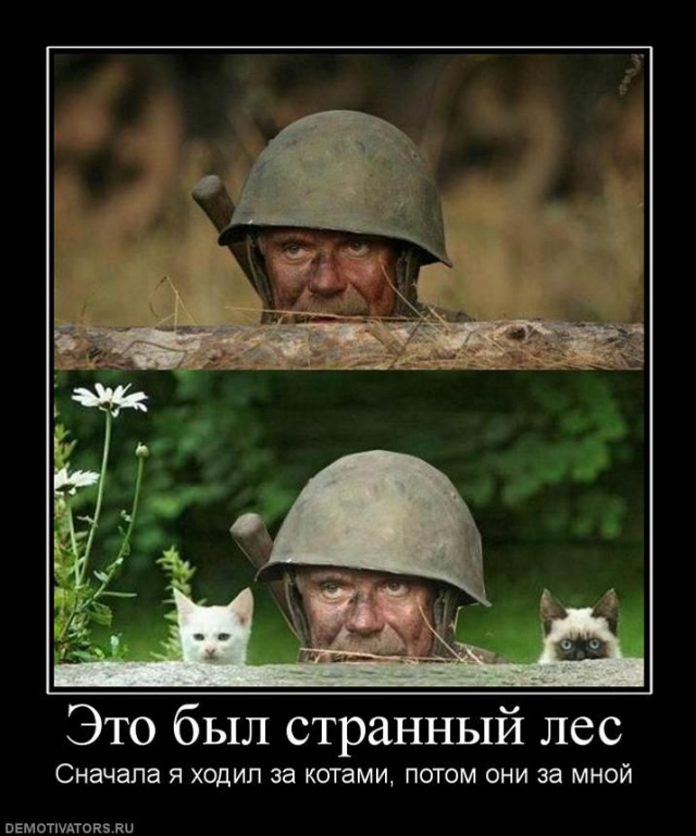 Народная меДИЧина 1036