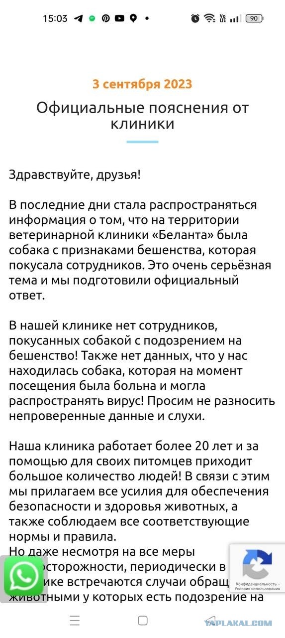 Зоошизики - распространители бешенства