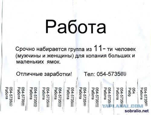 Якась скотина