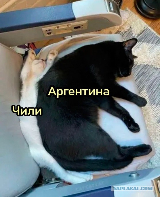 Весёлый полтишок 10.10.23