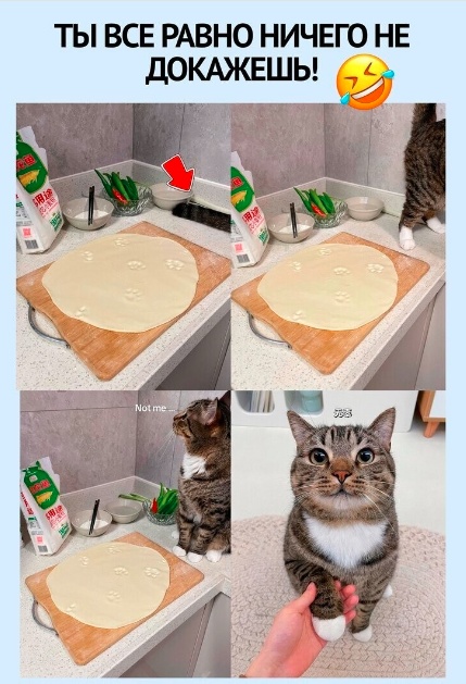 Всего понемногу. От 30.09.24