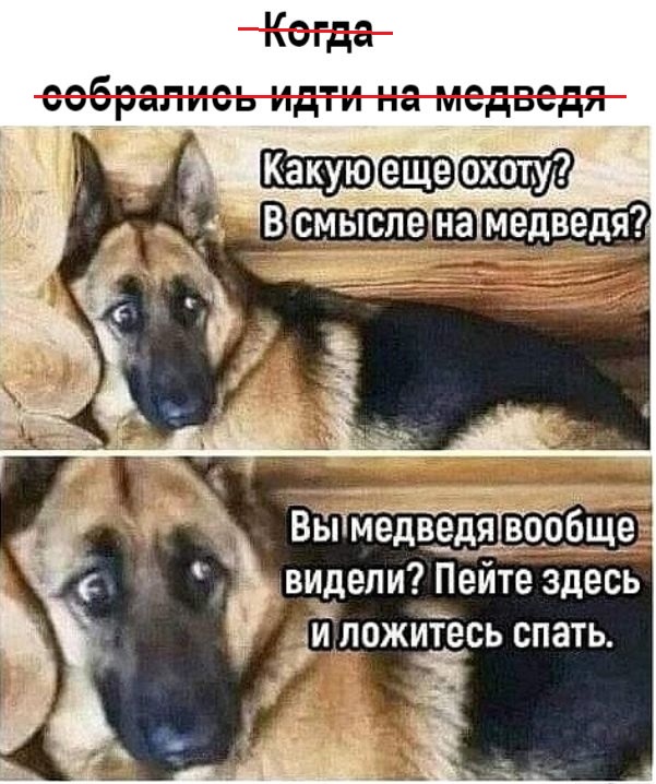 Так себе картинки 20.10.24