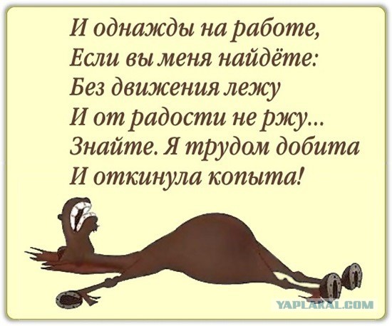Разводы, аборты, демография. Слишком много прав.