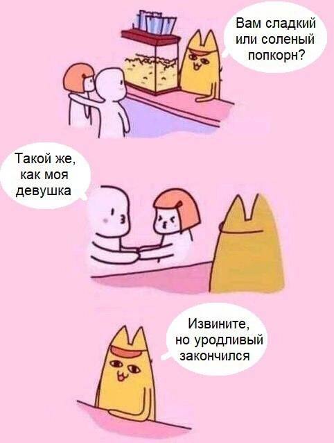 Весёлый полтишок 22.11.24