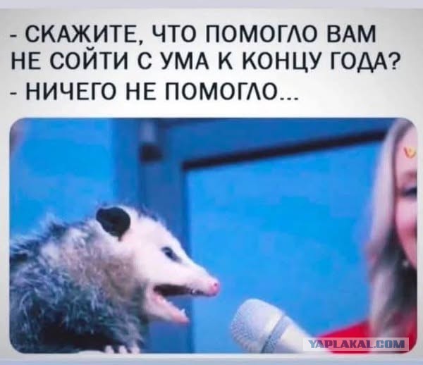 Веселые картинки в последний рабочий день уходящего года (28.12)