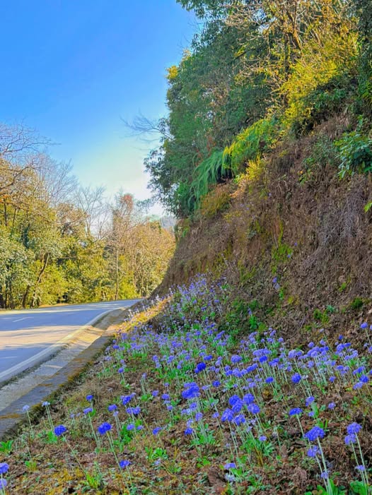 Бутан, таинственный Бутан