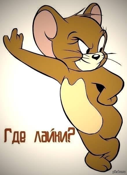 Прикольные и просто красивые картинки 06.05.2025