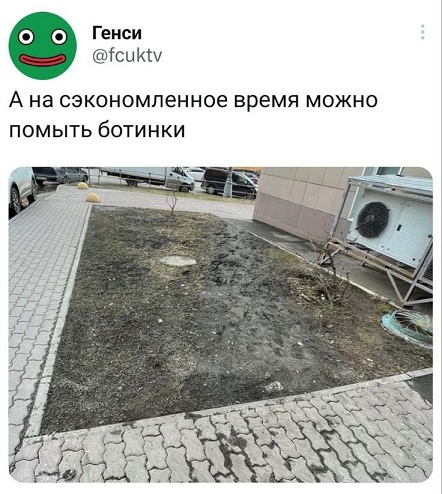 А где Цой?