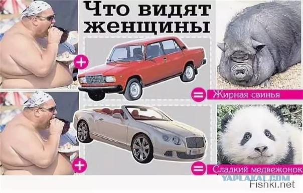 Миллионеры в их тачках. Чертовски неудобно